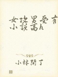 女攻男受有jj小说高h
