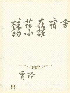 校花在宿舍被强的小说