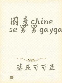 国产chinese男男gaygay网站vk