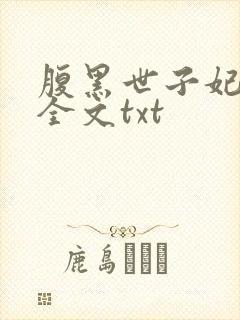 腹黑世子妃日常全文txt