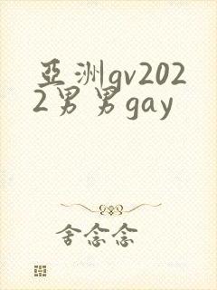 亚洲gv2022男男gay封面