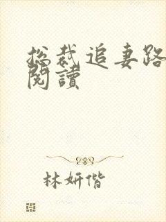 总裁追妻路漫漫阅读