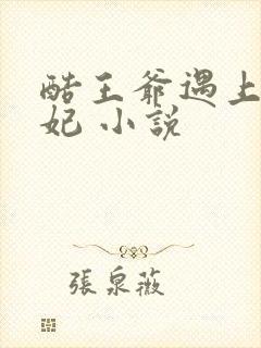酷王爷遇上穿越妃 小说