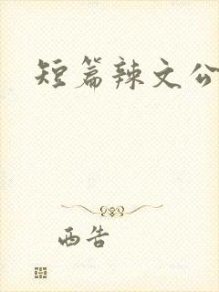短篇辣文公公