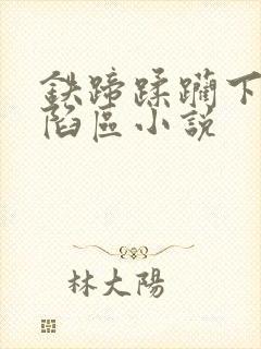 铁蹄蹂躏下的沦陷区小说