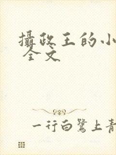 摄政王的小闲妻 全文