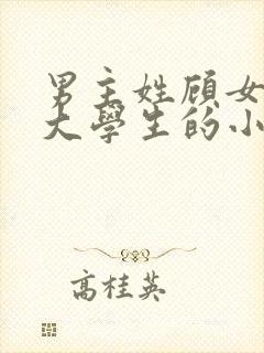 男主姓顾女主是大学生的小说