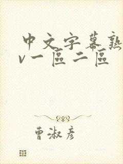 中文字幕熟女av一区二区