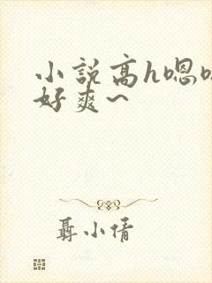 小说高h嗯嗯~好爽~