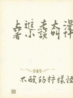 上进老太漫剧原著小说叫什么名字