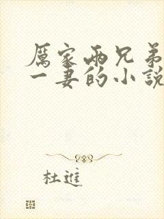 厉家两兄弟共娶一妻的小说
