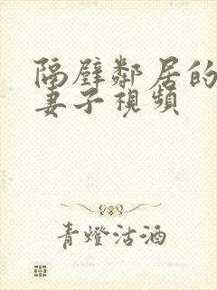 隔壁邻居的漂亮妻子视频封面