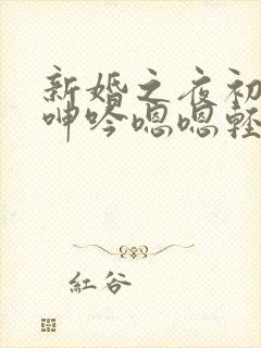 新婚之夜初次的呻吟嗯嗯轻点