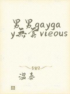 男男gaygay无套vieous