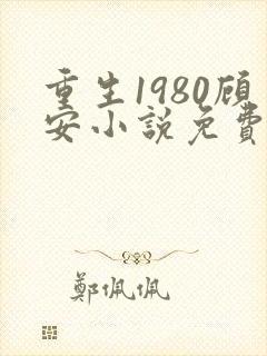 重生1980顾安小说免费阅读最新章节