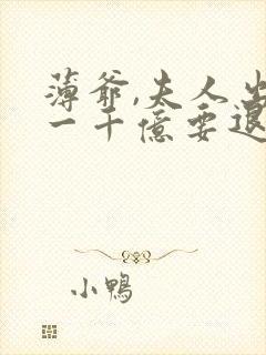 薄爷,夫人出价一千亿要退婚叶凝完整版
