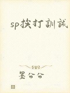 sp挨打训诫文封面