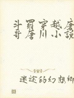 斗罗穿越唐三亲哥唐川小说