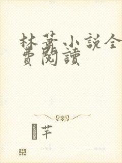 林萧小说全文免费阅读封面