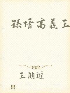 孙倩高义王申封面
