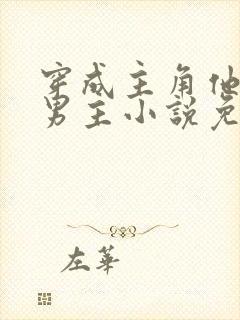 穿成主角他哥双男主小说免费阅读