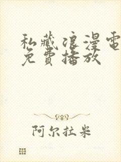 私藏浪漫电视剧免费播放