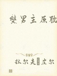 双男主原耽小说