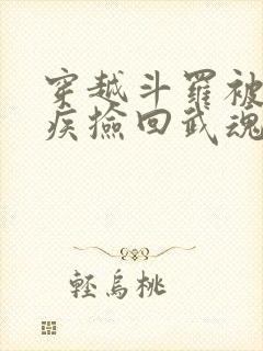 穿越斗罗被千寻疾捡回武魂殿