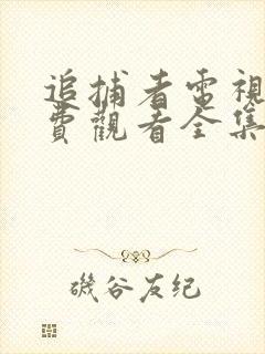 追捕者电视剧免费观看全集完整版