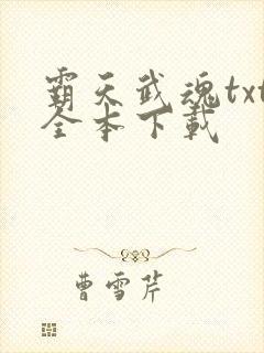 霸天武魂txt全本下载
