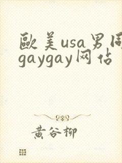 欧美usa男同gaygay网站