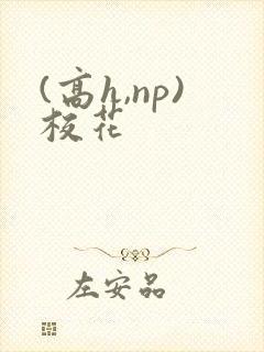 (高h,np)校花封面