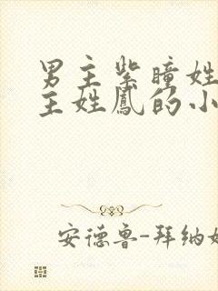 男主紫瞳姓夜女主姓凤的小说封面