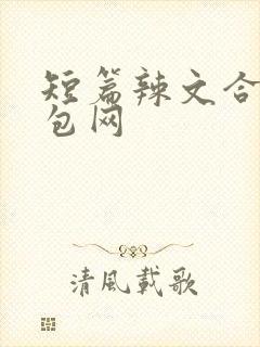 短篇辣文合集书包网封面