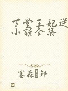 下堂王妃逆袭记小说全集