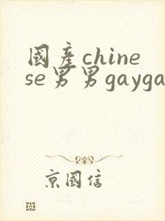 国产chinese男男gaygay无套