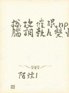 总攻催眠np洗脑调教h双性