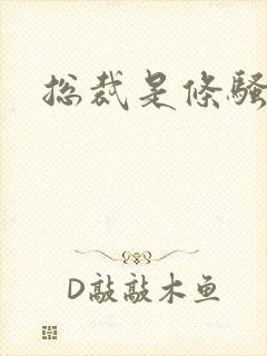 总裁是条骚狗