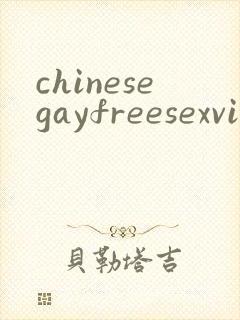 chinesegayfreesexvideo