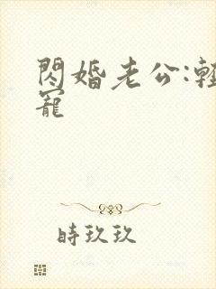 闪婚老公:轻点宠