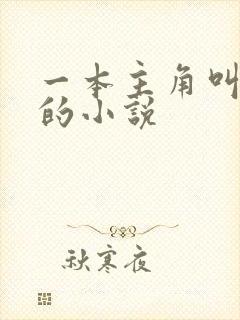 一本主角叫林凡的小说