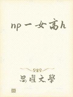 np一女高h