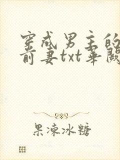 穿成男主的炮灰前妻txt华阙阙