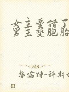女主爱错了人,男主双胞胎的小说