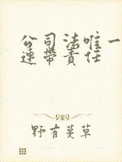 公司法唯一股东连带责任
