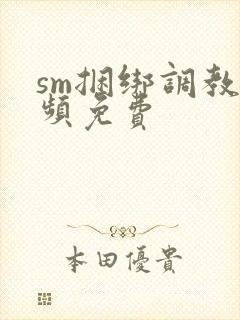 sm捆绑调教视频免费