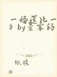 一婚还比一婚高》by晨雾的光