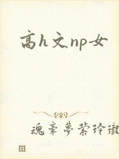 高h文np女