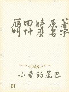 雁回时原著小说叫什么名字