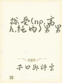 总受(np,高h,纯肉)男男文